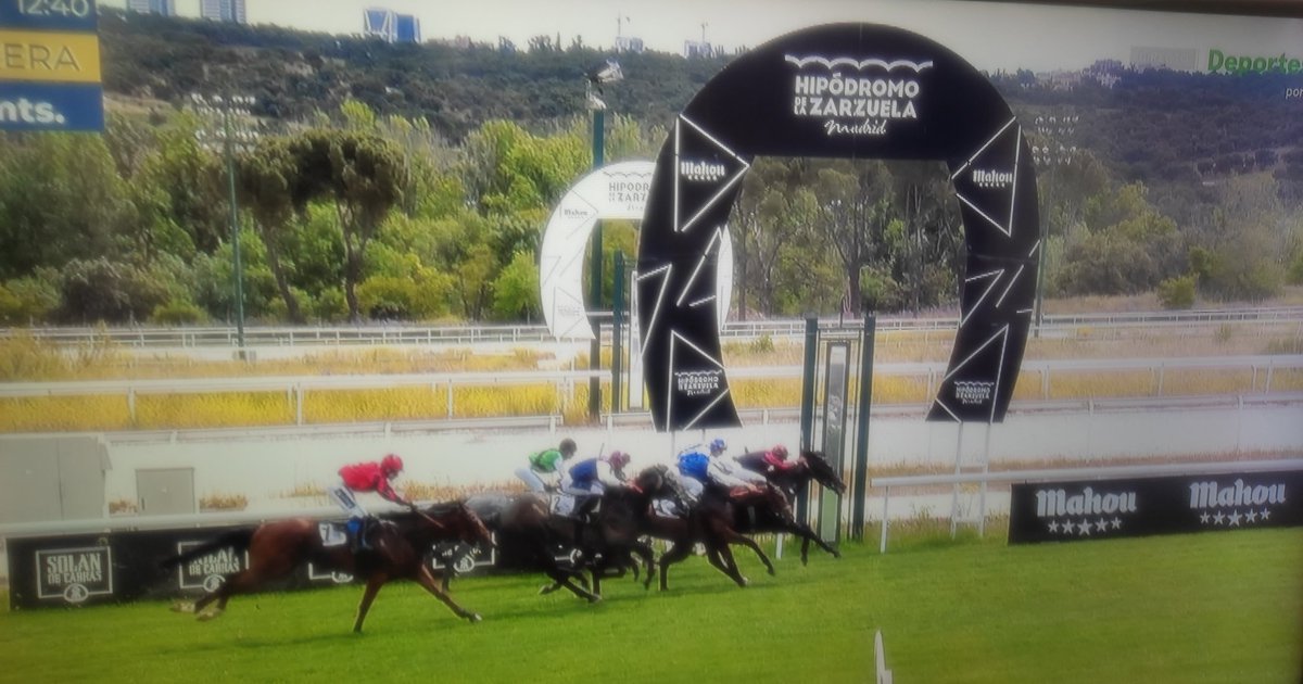 Joan Rodríguez reclamará: 'He ido al cuarto de comisarios cuando ya estaba todo decidido. Con multa al jockey y preparador. A nosotros nos dijeron que se corría a 52 kg y lo hemos hecho. Y dicen que hemos corrido con un kilo menos. Lo llevaré a mis abogados. Es fallo de ellos.