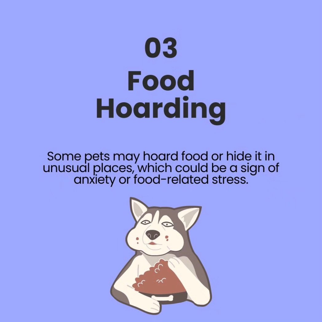 Share and Follow to get hold on more such informative tidbits on your Pets!

#PetCareTips #HappyPets
#PetWellness #PetHacks
#PetHealth