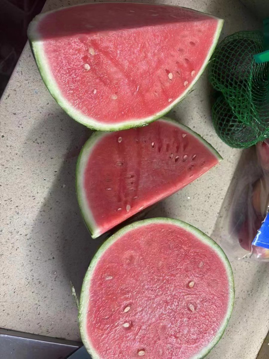 Cydiar404's tweet image. ChatGPT 开瓜？没错，各位观众，请看4个A（bushi，重来重来，是9号瓜，没错，就是9号瓜，薄皮沙瓤，童叟无欺！