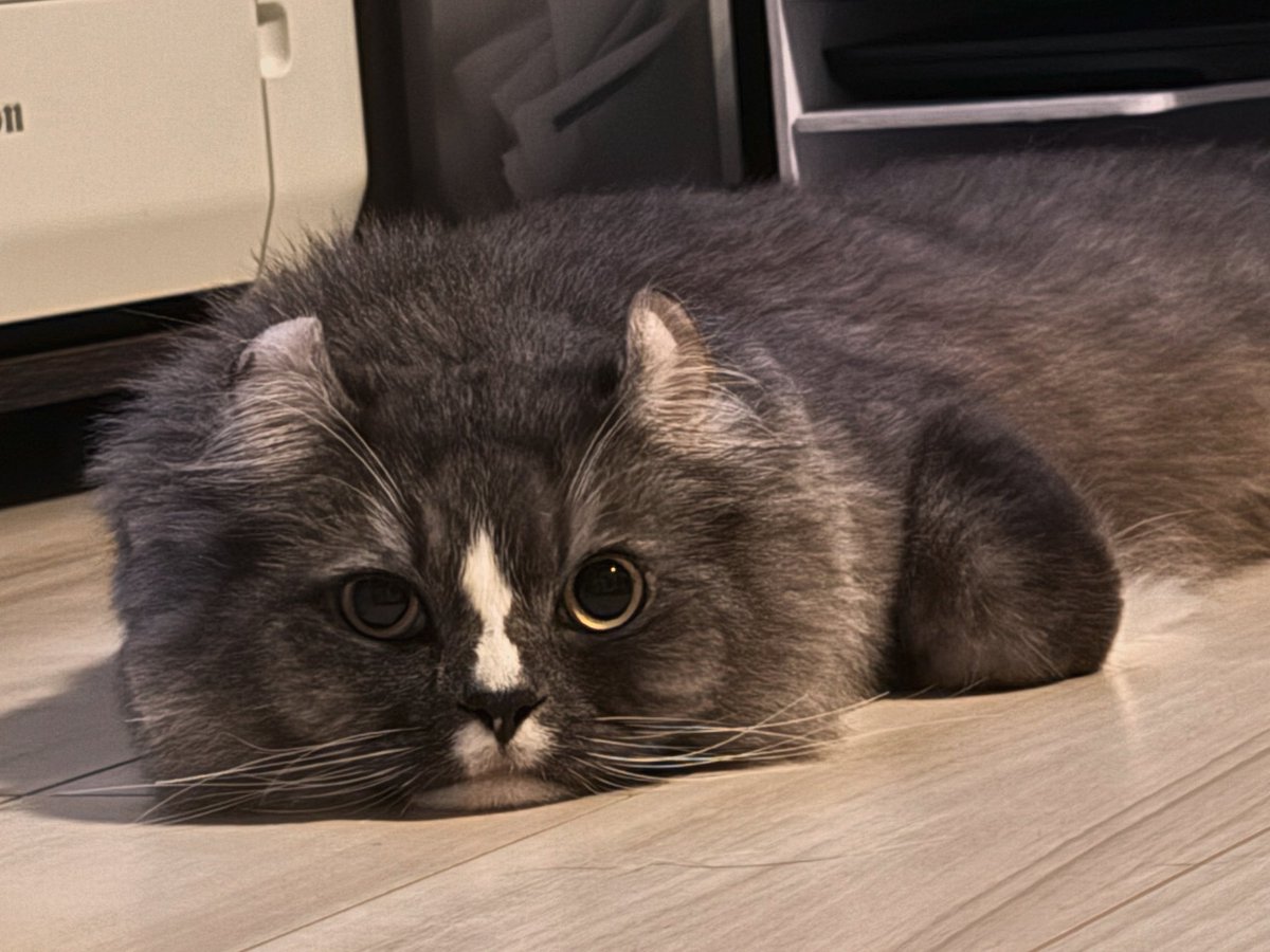 主は何してるんじゃろな
