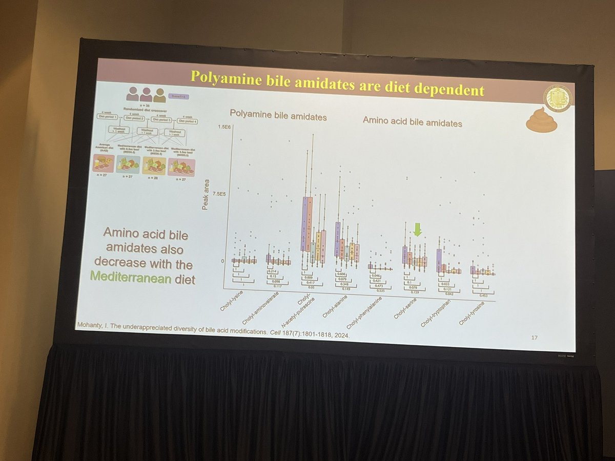 GI_NutritionFdn's tweet image. Ipsita Mohanty presents on the microbial modification of bile acids. #Diet alters the production of polyamine conjugates. Hypothesize that bile acids are the language of communicating with host. #DDW2024 #GITwitter @DDWMeeting