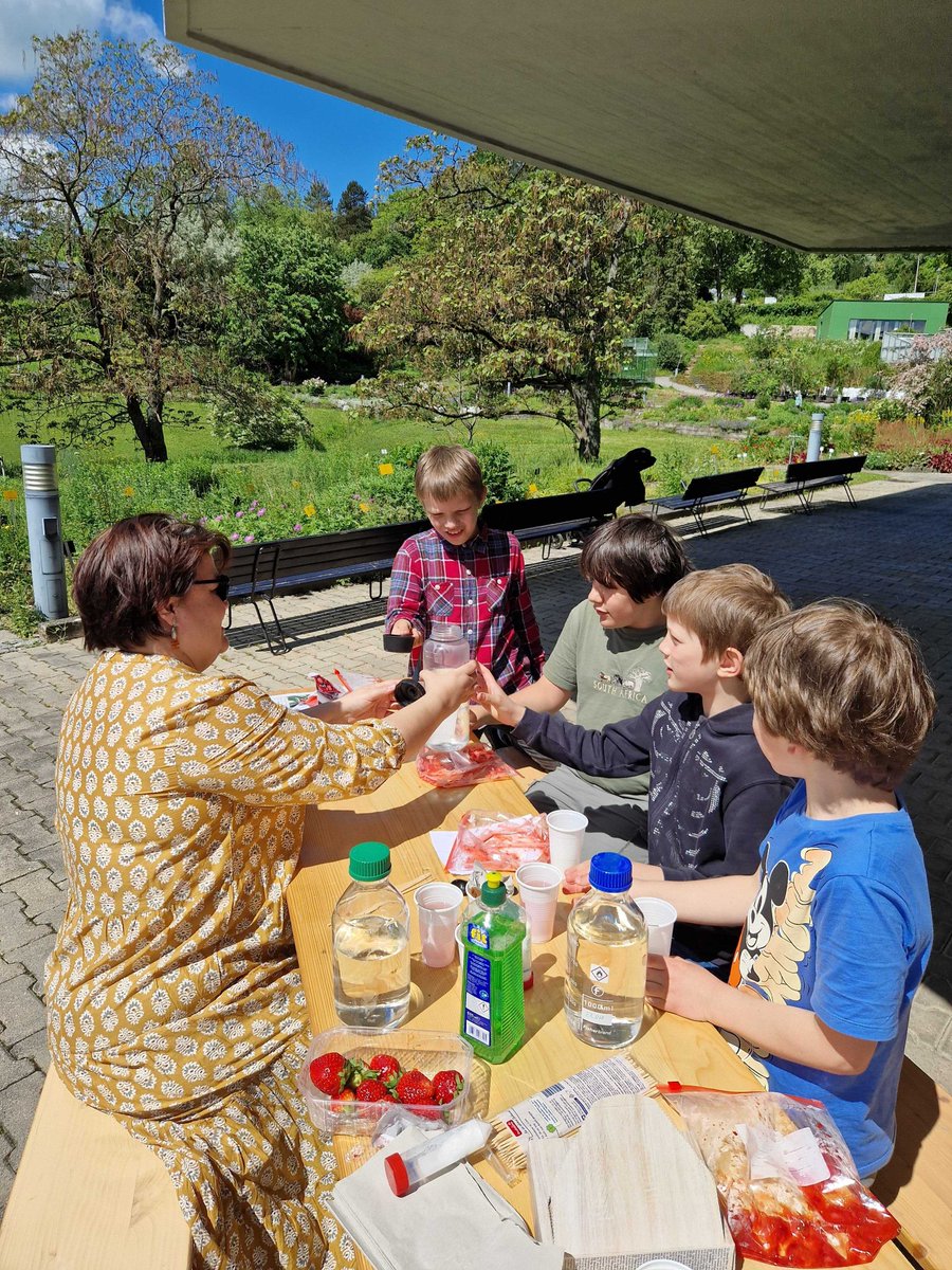 ZMBP_Tuebingen's tweet photo. The ZMBP Outreach Team celebrated the @PlantDay18May @tueboga! 
The very young researchers learned about plant reproduction and beneficial plant-microbe interactions and also extracted #DNA from 🍓
Thanks to all participants and to #TRR356!
#FascinationOfPlantsDay #FoPD https://t.co/s6BaLsiAQg