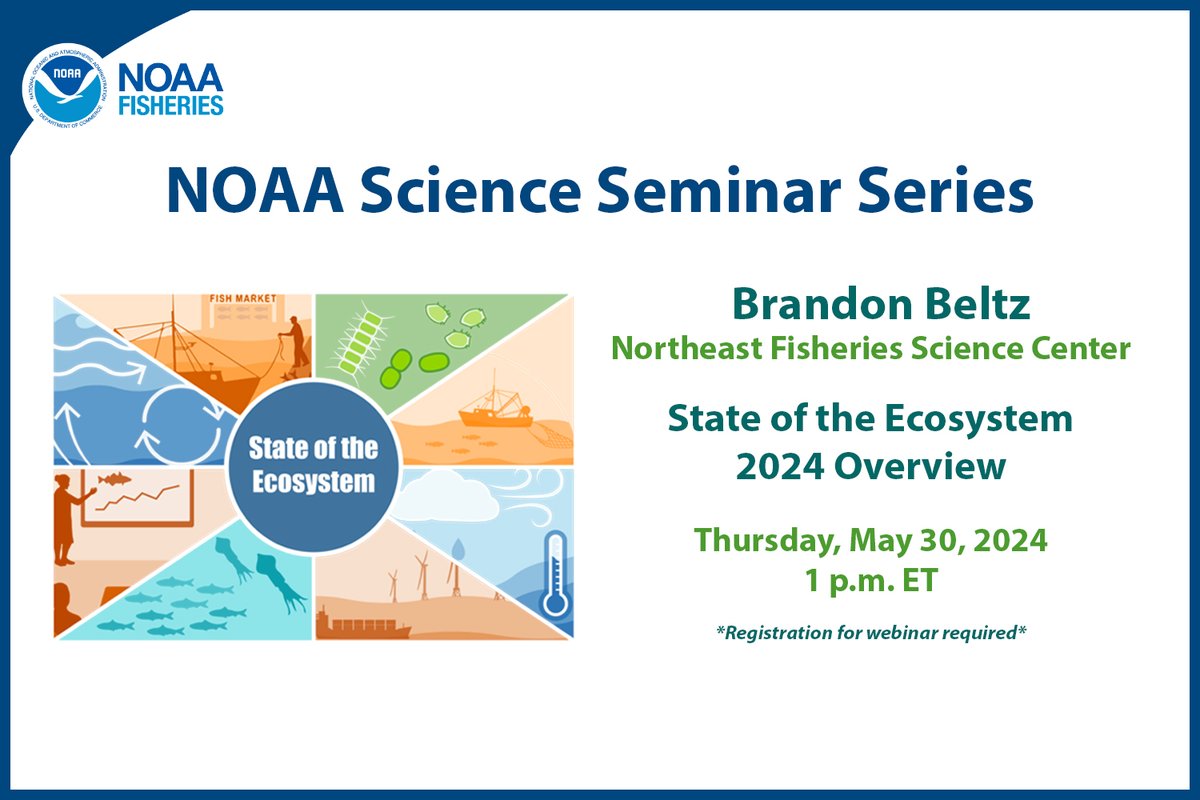 Tune in May 30 at 1pm ET for data analyst Brandon Beltz’s webinar on the 2024 #StateOfTheEcosystem reports for the NE Shelf marine ecosystems: bit.ly/3wy6XkF. #NEFSCScience