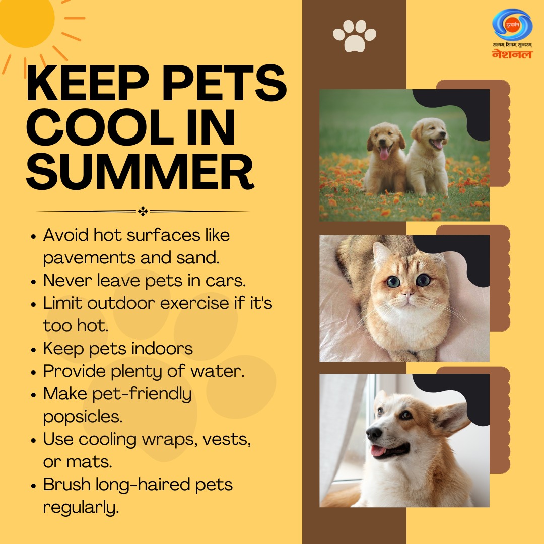 Keep pets cool in heatwaves. Follow these tips to ensure they stay hydrated and comfortable. 

#BeatTheHeat | #PetCare | #HeatwaveSafety
