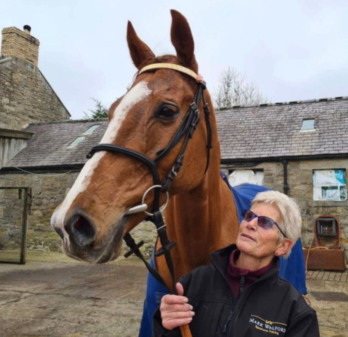 Delighted to announce 📣 We have agreed to name a race after Event Of Sivola at @HexhamRaces it seems the perfect place as Event had 10 runs, two wins six places at his favourite track “Hexham Hero” Event of Sivola Memorial Handicap Chase and be staged at the track on June 1st