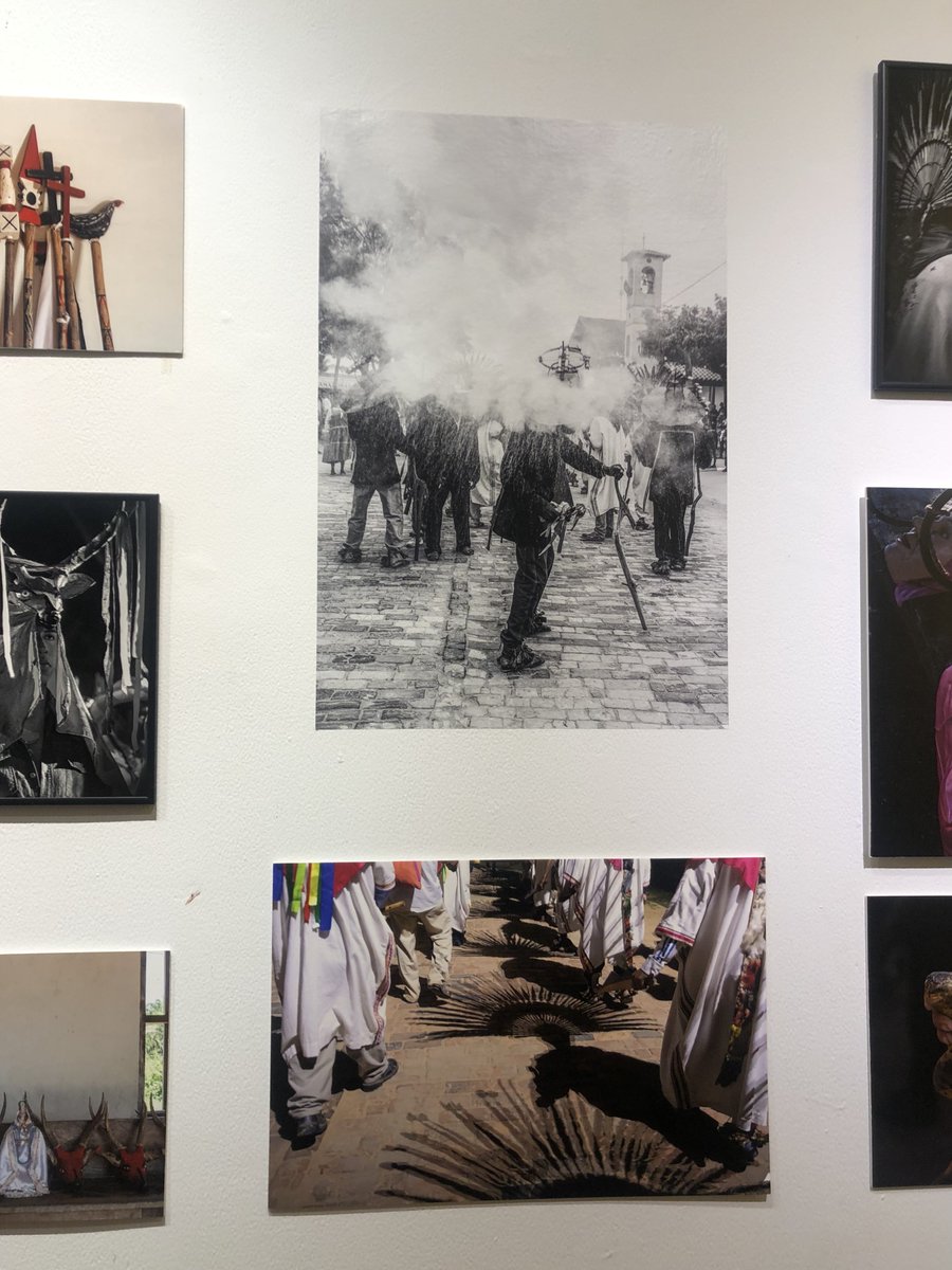 Aile (L) tweet media