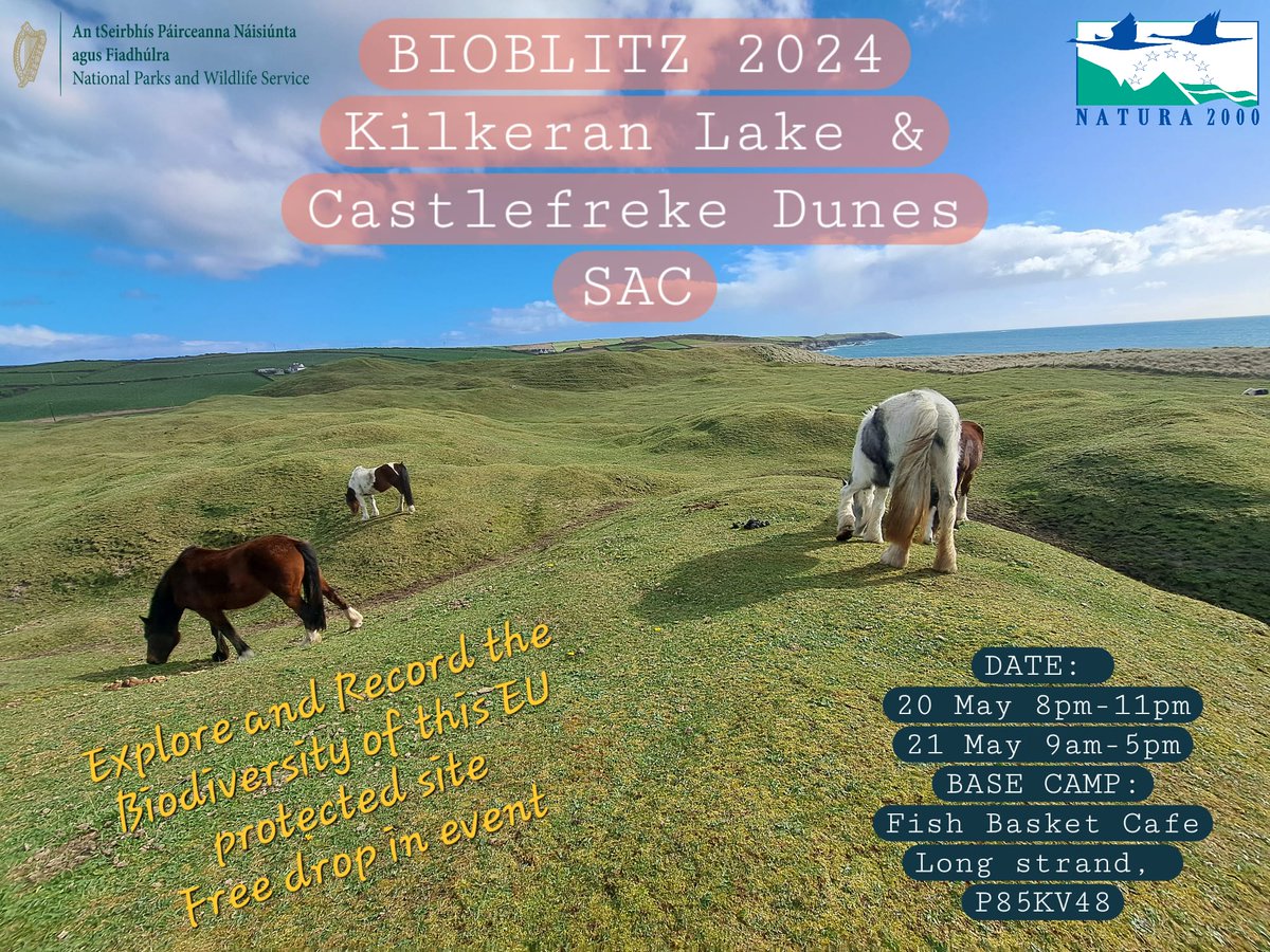We'll be giving the NPWS rangers and others specialists a dig out tomorrow and Tuesday in Cork 🦎💚🦎🦎🐸💚 #NationalBiodiversityWeek24 #Bioblitz24