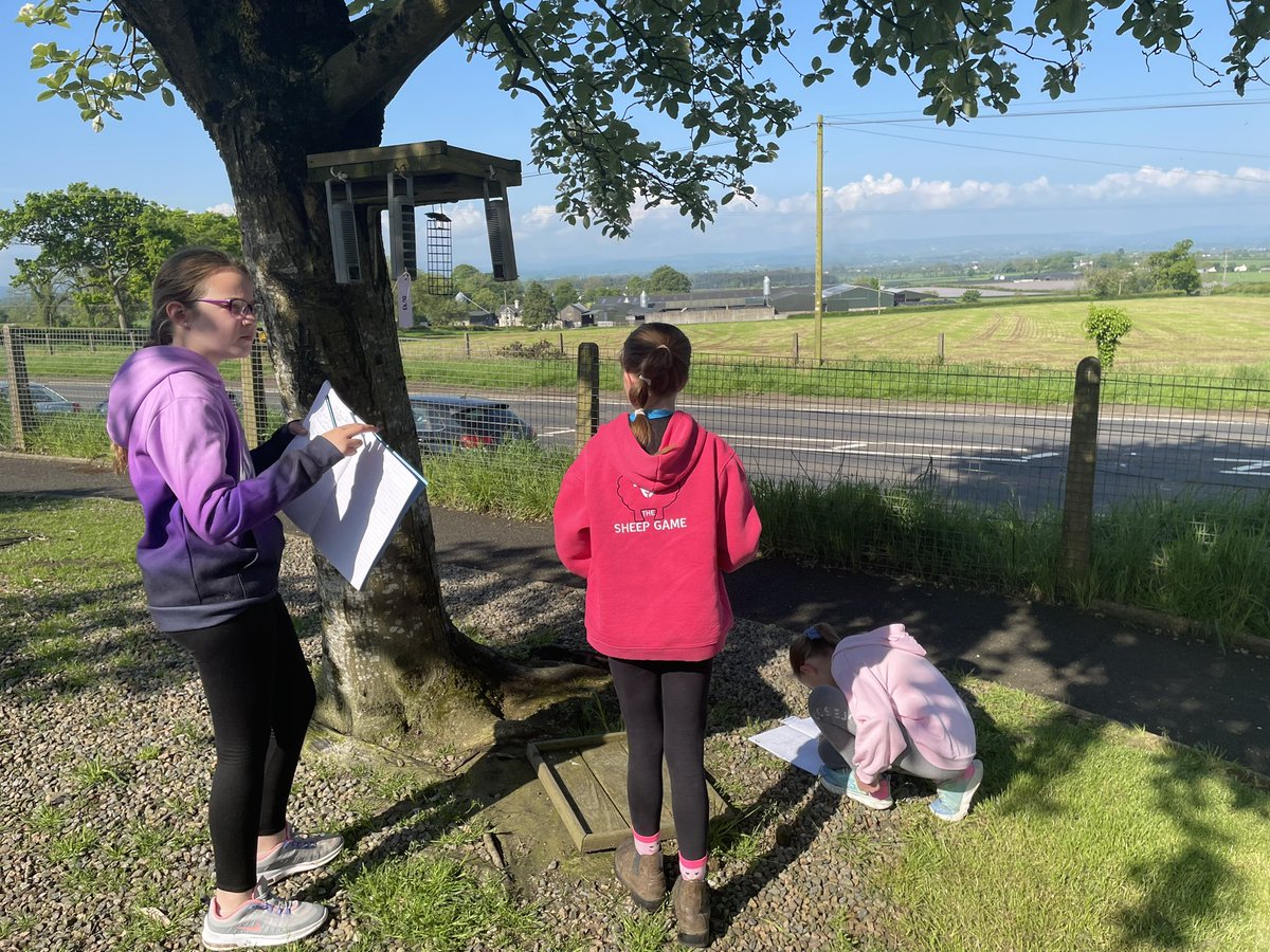 CPSBALLYMONEY's tweet image. Outdoor Learning in beautiful weather.