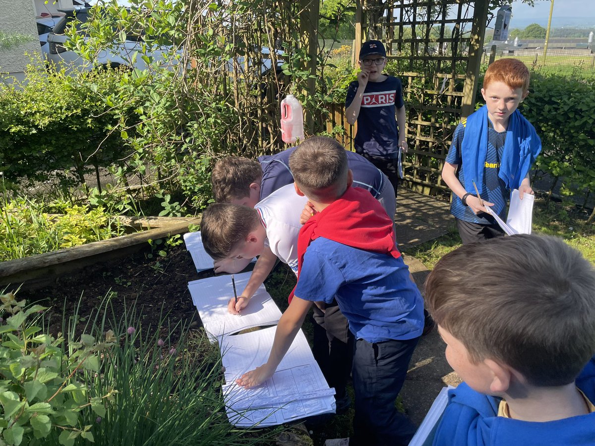 CPSBALLYMONEY's tweet image. Outdoor Learning in beautiful weather.