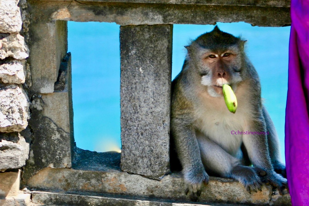 Christine ❤️🕉😊 tweet media