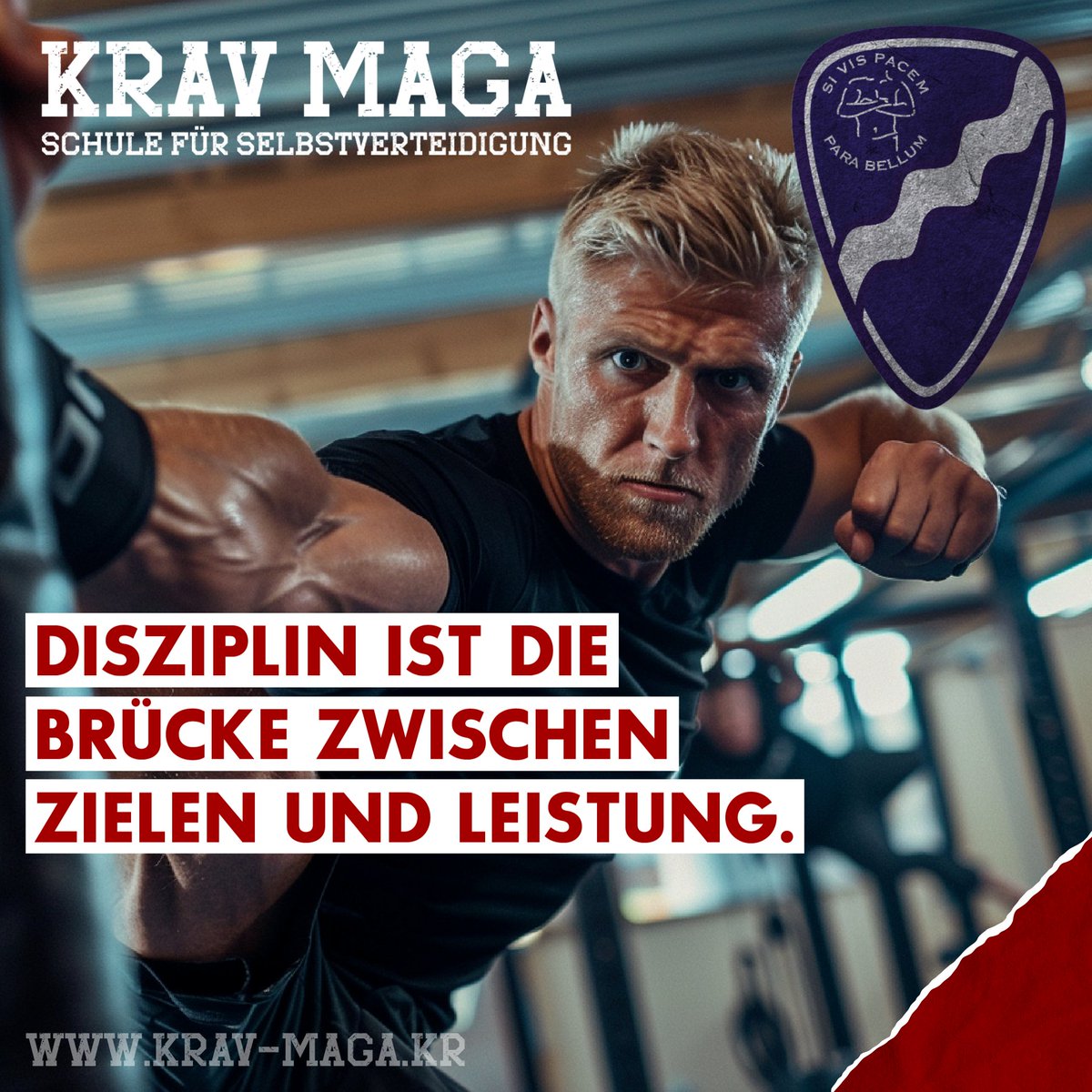 Krav Maga oder MMA, Disziplin bringt den Erfolg. #kravmagaforkids #kravmagakr