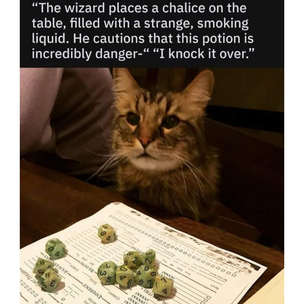 Yes, of course I've spend a few evenings playing tabletop role-playing games. Yes, of course I didn't ask the cats to join us, I know better.