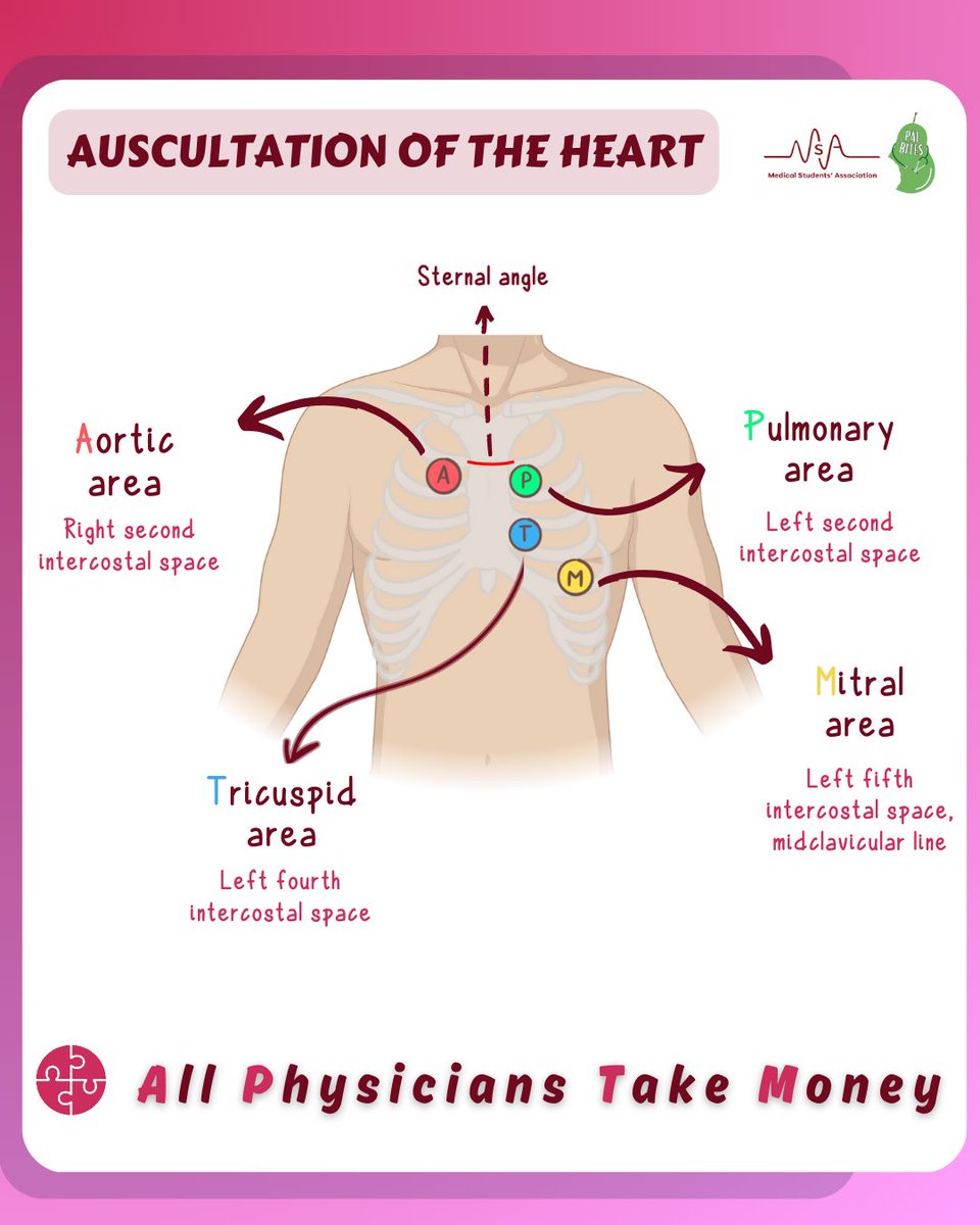 Learn more about the auscultation of the heart with PAL Bites! 🩺🫀🍐

#medicine #medical #medstudent #medicalschool #usmle #usmleprep #aorta #HeartSounds #valves
