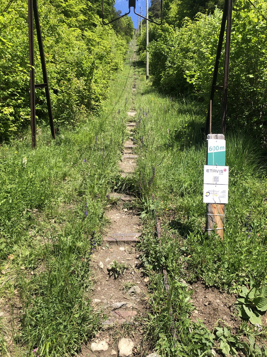 napstervab's tweet photo. I have done quite some races, marathons and unique endurance events! But nothing like the KM vèrtical de Fully ! This was insanely brutal ! 1100 mts of elevation in 1.9Km ! Completely insane ! Time to start training for October ! https://t.co/2tsPQYGbte