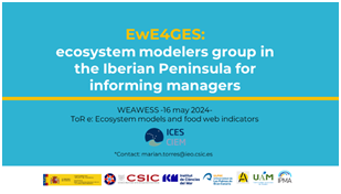 Trofiqueando's tweet photo. Nuestra compañera @MA_Torres_Leal ha presentado en el #WGEAWESS ‘Working Group on Ecosystem Assessment of Western European Shelf Seas‘ los resultados del indicador ecosistémico ‘RT-ENA: Análisis de Redes Ecológicas’ de #EEMM realizado por el grupo ‘EWE4GES’ https://t.co/mRELN6f2Qh