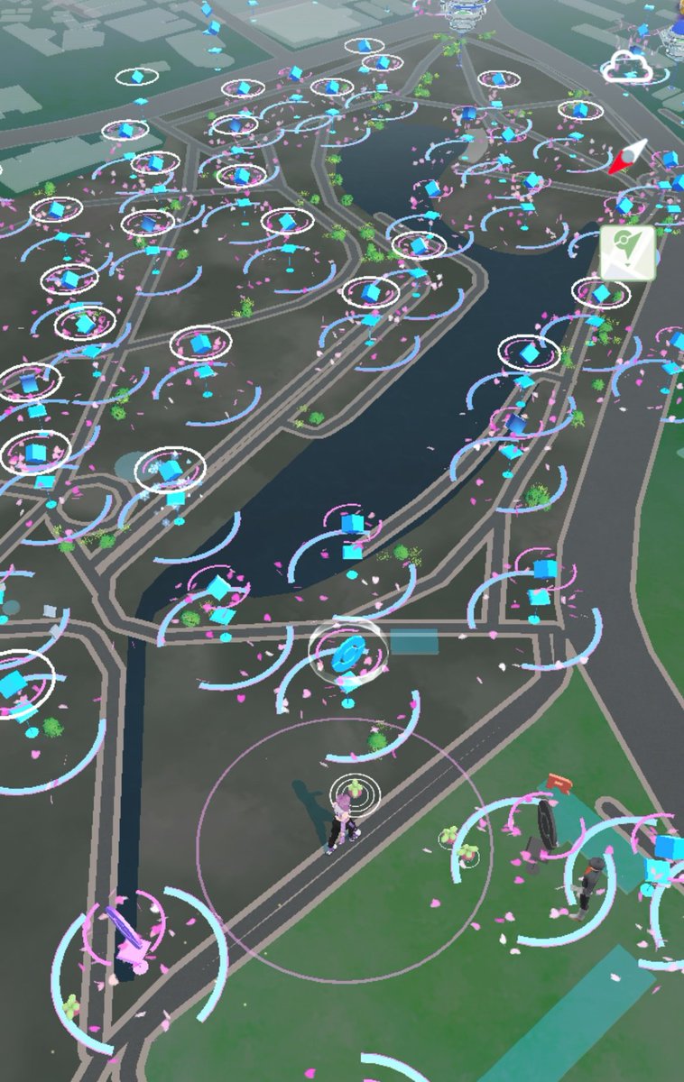 Dhaka was on Lures today 💪✨️