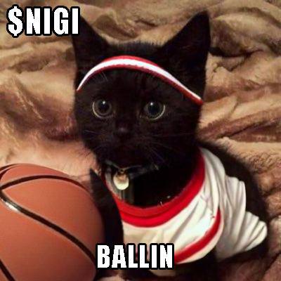 Walacitto's tweet photo. @itsjasek @naps000 $nigi ready to fly @NIGIsolana https://t.co/bsVcxYzvI3