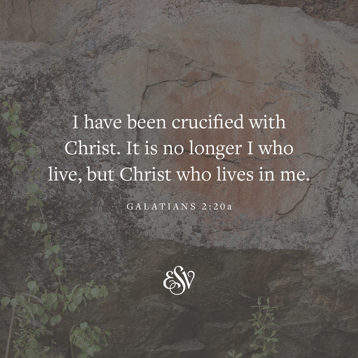 I have been crucified with Christ. It is no longer I who live, but Christ who lives in me. —Galatians 2:20a #Verseoftheday #ESV #Scripturememoryverse #Bible