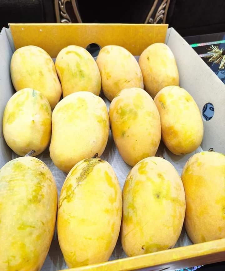 بادشاہ سلامت کو مارکیٹ میں خوش آمدید کہتے ہے کس کس کو پسند ہے. #Mangoes