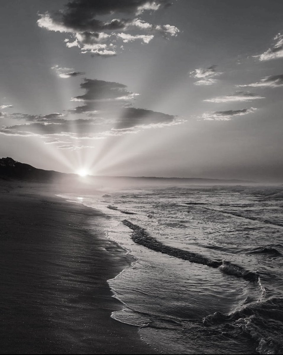 Sakis foto tweet media