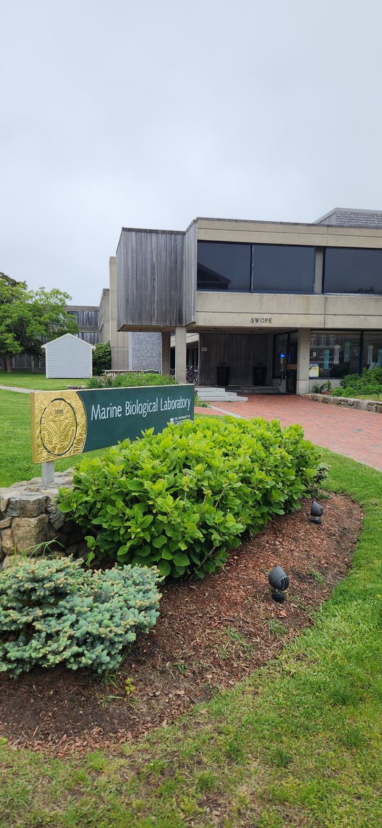 VirginiaSavy's tweet image. Hi @MBLScience, so nice to see you again! @FIRbees can&apos;t wait to meet you all! #Section2 #reproRocks