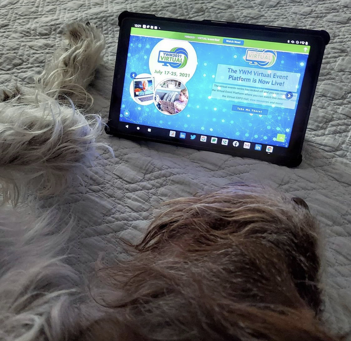 Aren't our OAC pets PAW-SOME?! 🐶🐾🐱 .... They think we're funny.

Be sure to share pictures of your pets attending alongside you with the hashtag #YourWeightMattersVirtual

ywmconvention.com/ywm-virtual/re…