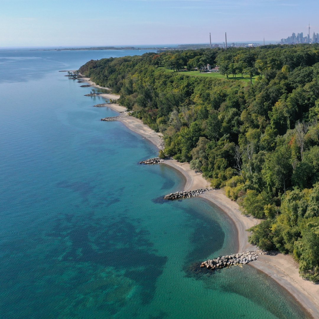 The #ScarboroughBluffs West shoreline is one of Toronto’s most iconic natural features. 
Join us & @TRCA_HQ on May 28 for a public consultation event to help inform a study on how to improve access to this beautiful area.

Learn more: toronto.ca/community-peop…