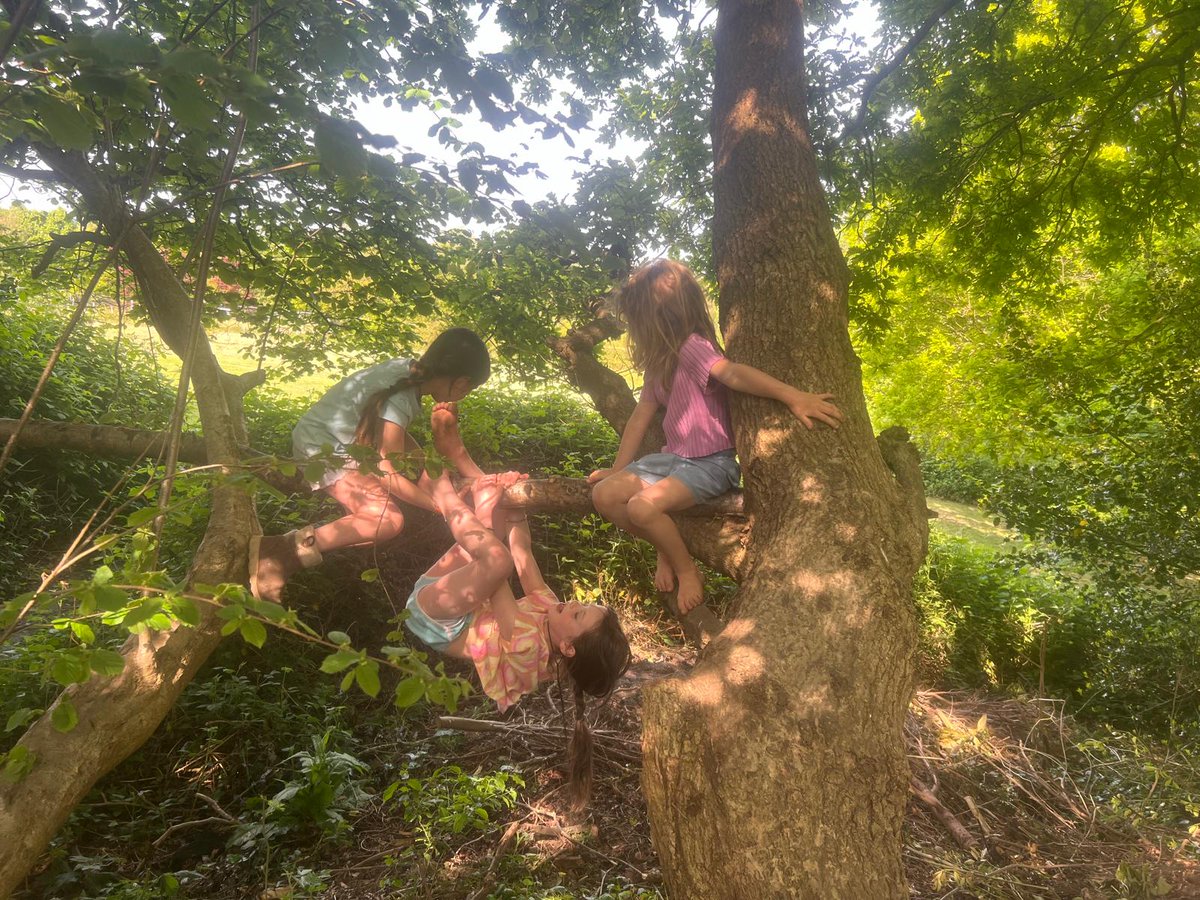 Mike Fairclough tweet media