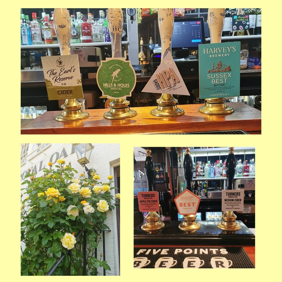 Today's cask ales now pouring.

Why not join us today for a pint of fabulous cask ale in our lovely sunny front garden.

OPEN from 12pm

#harveysbrewery #gaddsbrewery #bexleybrewery #fivepointsbrewingco #westkentcamra #twcaskale #twpubs #twrealale #realale