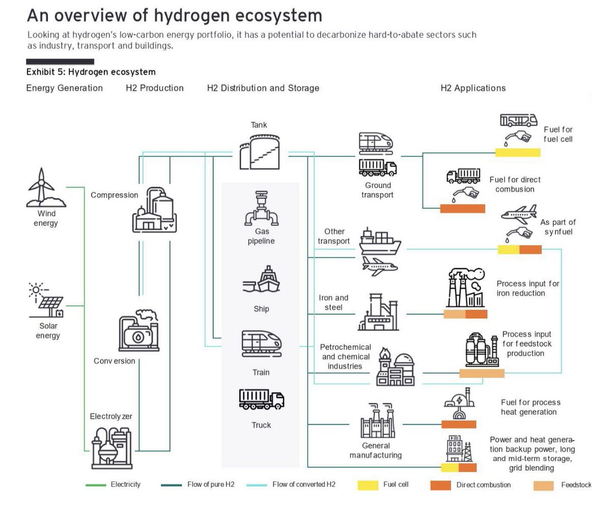 An overview of the hydrogen ecosystem