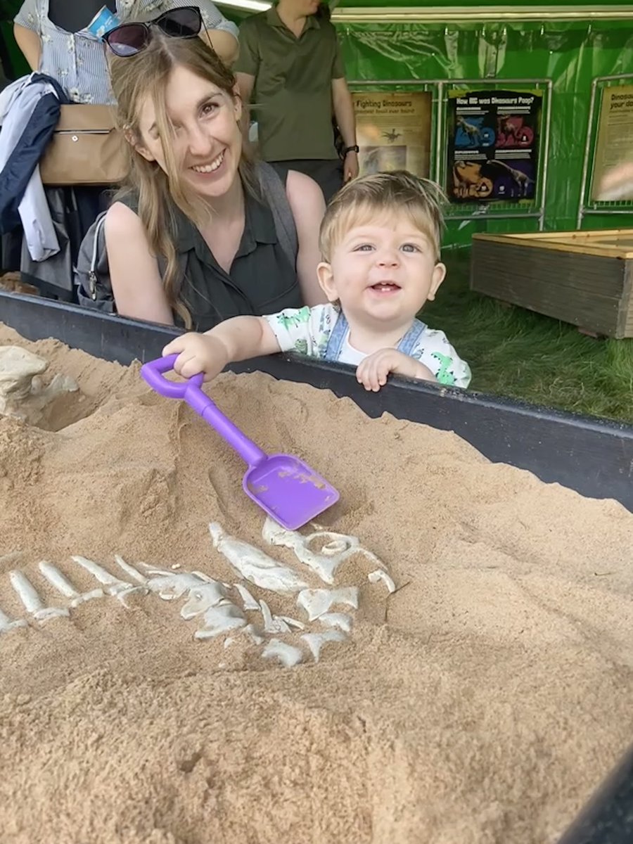 MrsB165's tweet photo. Safe to say, we had a “roaring” time. 🦖🦕💚 https://t.co/vfIdAIMFqE