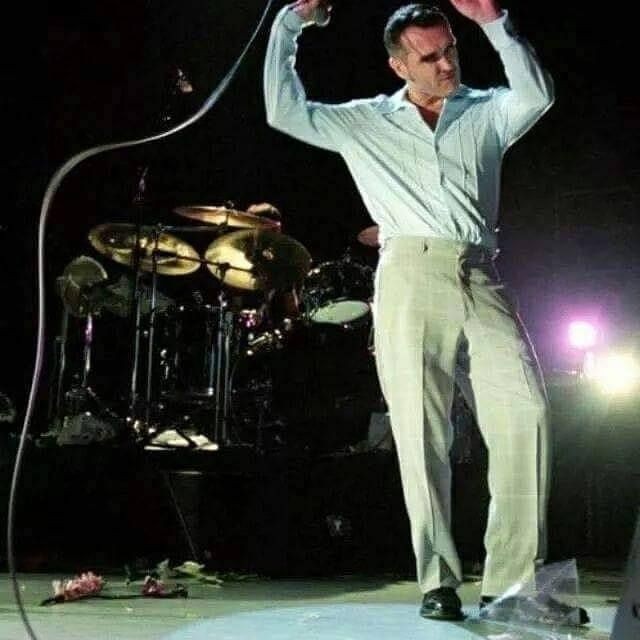 The Moz ❤️