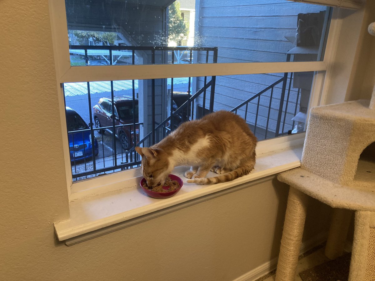 mr. dumpling ππ (@dumplingisacat) on Twitter photo In honor of our buddy <a href="/PrimcessPamcake/">Pamcake π Misty Mia π©·</a> here is James getting his wische for some fische (wet food type)
Hope there is lots of fische where you both are now π In honor of our buddy <a href="/PrimcessPamcake/">Pamcake π Misty Mia π©·</a> here is James getting his wische for some fische (wet food type)
Hope there is lots of fische where you both are now π