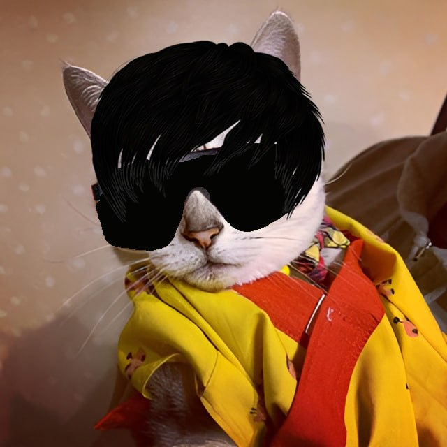 1catsol's tweet photo. All the jeets selling made #1cat an emo. $1cat https://t.co/9JzMXtbGti