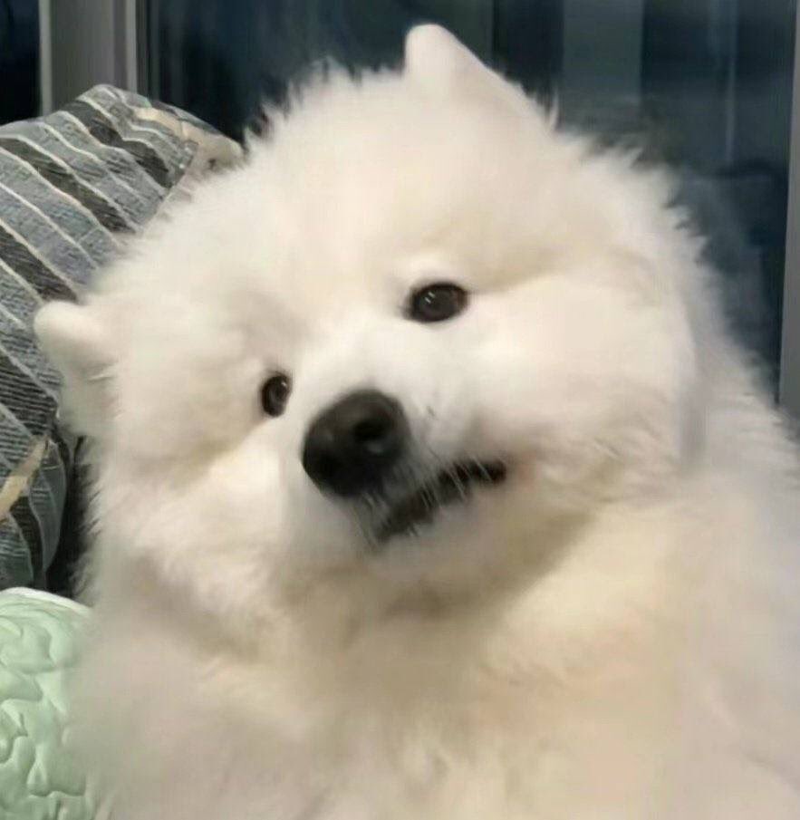 godxfjm's tweet image. งอนมาก                                                              ขนตาเลาเหรอคะ