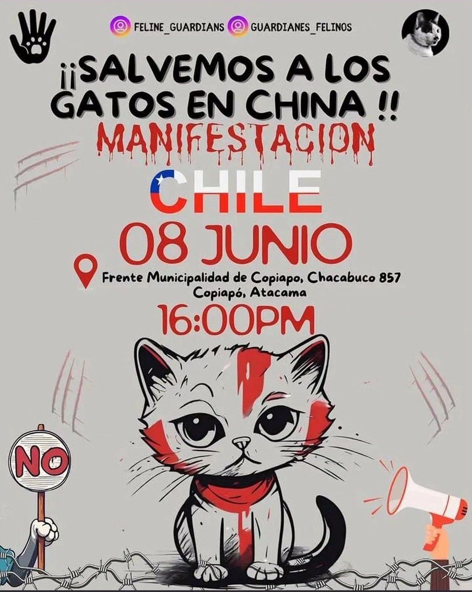 ‼️ UPDATE ‼️🇨🇱 New protest in #Chile organized by the activists of @felineguardians Chile. Thank u once again for raising your voice for the cats in China. We demand that the #Chinese government implement animal protection laws. @ChinaEmbajada Day : 08 June Hr : 16:00