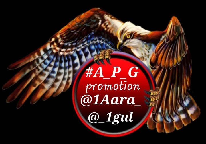 🅖🅤🅛🙋♀️ (@1gpti) on Twitter photo ViP🌀TeAm
<a href="/1fzall/">فـضـ𝓐𝓴𝓫𝓪𝓻ل</a> <a href="/frq04/">Muhammad Farooq Ahmad</a> <a href="/NJW788/">Najwa</a>
<a href="/5kshf/">syed kashif</a> <a href="/Lilli_fb/">Lilli for 👉💯 FB</a>
<a href="/1PTI_/">PTI PROMOTIONS</a> <a href="/PUNJ48/">kinza Malik</a>
@Pk50K <a href="/1_rjpt/">RAJPOOT 👑</a>
<a href="/1Aara_/">○° آراءخان°○</a> <a href="/5nqvi/">Syed Imtiaz Naqvi¹¹⁰🌍 Kaiser</a>
<a href="/Znt33/">🦋ZêēñäT</a> <a href="/19__47/">Ali Raza</a>
<a href="/1_sfa1/">Player</a> <a href="/Faj514/">Fazal Abbas Jaffery.</a>
🛷
#A_P_G <a href="/_1gul/">Aαɾα น'Şคfຊคi</a>
#PTI_friends
<a href="/Qs3488/">Qamar Shahzad🦅</a>
@Ozlerntr
🛷
<a href="/x4Mir4/">𝑄X🀰☪𝑺𝒎𝒐𝒌𝒆𝒓</a>
<a href="/zz70m/">🌸Ameer Zahir🇵🇰</a> <a href="/7_CAYy/">✧𝒀𝒂𝒔𝒖_𝑲✧⚜️</a>
<a href="/OyeMeryem/">Master bull 🐂</a> <a href="/7h_0o/">الغزووووولى</a>
<a href="/Gshn03/">★🌼sнєня вααиσ🌼★</a> <a href="/PK50K/">Saher</a>
<a href="/N__Bal/">Nasir Baloch</a> <a href="/1Mahii1/">*•.¸♡𝖬𝖺𝗁𝗂𝗂 𝖬𝖺𝗅𝗂𝗄♡¸.•*</a>
<a href="/MIG9T/">Khadija Saeed</a> <a href="/SR_Pti/">ᕙᕗ𝐑𝐚𝐬𝐡𝐢𝐝ᕙᕗ</a>
<a href="/1GPTI/">🅖🅤🅛🙋♀️</a> <a href="/bnte_/">بـٌـٌٌـٌٌٌـٌٌـٌنـِِـِـتـٌـٌٌـ۔</a> ViP🌀TeAm
<a href="/1fzall/">فـضـ𝓐𝓴𝓫𝓪𝓻ل</a> <a href="/frq04/">Muhammad Farooq Ahmad</a> <a href="/NJW788/">Najwa</a>
<a href="/5kshf/">syed kashif</a> <a href="/Lilli_fb/">Lilli for 👉💯 FB</a>
<a href="/1PTI_/">PTI PROMOTIONS</a> <a href="/PUNJ48/">kinza Malik</a>
@Pk50K <a href="/1_rjpt/">RAJPOOT 👑</a>
<a href="/1Aara_/">○° آراءخان°○</a> <a href="/5nqvi/">Syed Imtiaz Naqvi¹¹⁰🌍 Kaiser</a>
<a href="/Znt33/">🦋ZêēñäT</a> <a href="/19__47/">Ali Raza</a>
<a href="/1_sfa1/">Player</a> <a href="/Faj514/">Fazal Abbas Jaffery.</a>
🛷
#A_P_G <a href="/_1gul/">Aαɾα น'Şคfຊคi</a>
#PTI_friends
<a href="/Qs3488/">Qamar Shahzad🦅</a>
@Ozlerntr
🛷
<a href="/x4Mir4/">𝑄X🀰☪𝑺𝒎𝒐𝒌𝒆𝒓</a>
<a href="/zz70m/">🌸Ameer Zahir🇵🇰</a> <a href="/7_CAYy/">✧𝒀𝒂𝒔𝒖_𝑲✧⚜️</a>
<a href="/OyeMeryem/">Master bull 🐂</a> <a href="/7h_0o/">الغزووووولى</a>
<a href="/Gshn03/">★🌼sнєня вααиσ🌼★</a> <a href="/PK50K/">Saher</a>
<a href="/N__Bal/">Nasir Baloch</a> <a href="/1Mahii1/">*•.¸♡𝖬𝖺𝗁𝗂𝗂 𝖬𝖺𝗅𝗂𝗄♡¸.•*</a>
<a href="/MIG9T/">Khadija Saeed</a> <a href="/SR_Pti/">ᕙᕗ𝐑𝐚𝐬𝐡𝐢𝐝ᕙᕗ</a>
<a href="/1GPTI/">🅖🅤🅛🙋♀️</a> <a href="/bnte_/">بـٌـٌٌـٌٌٌـٌٌـٌنـِِـِـتـٌـٌٌـ۔</a>