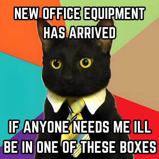 XBusinessCat's tweet photo. @eth_exy oh really? i guess i can go relax in my litter box $bcat https://t.co/flQoYgmY1q