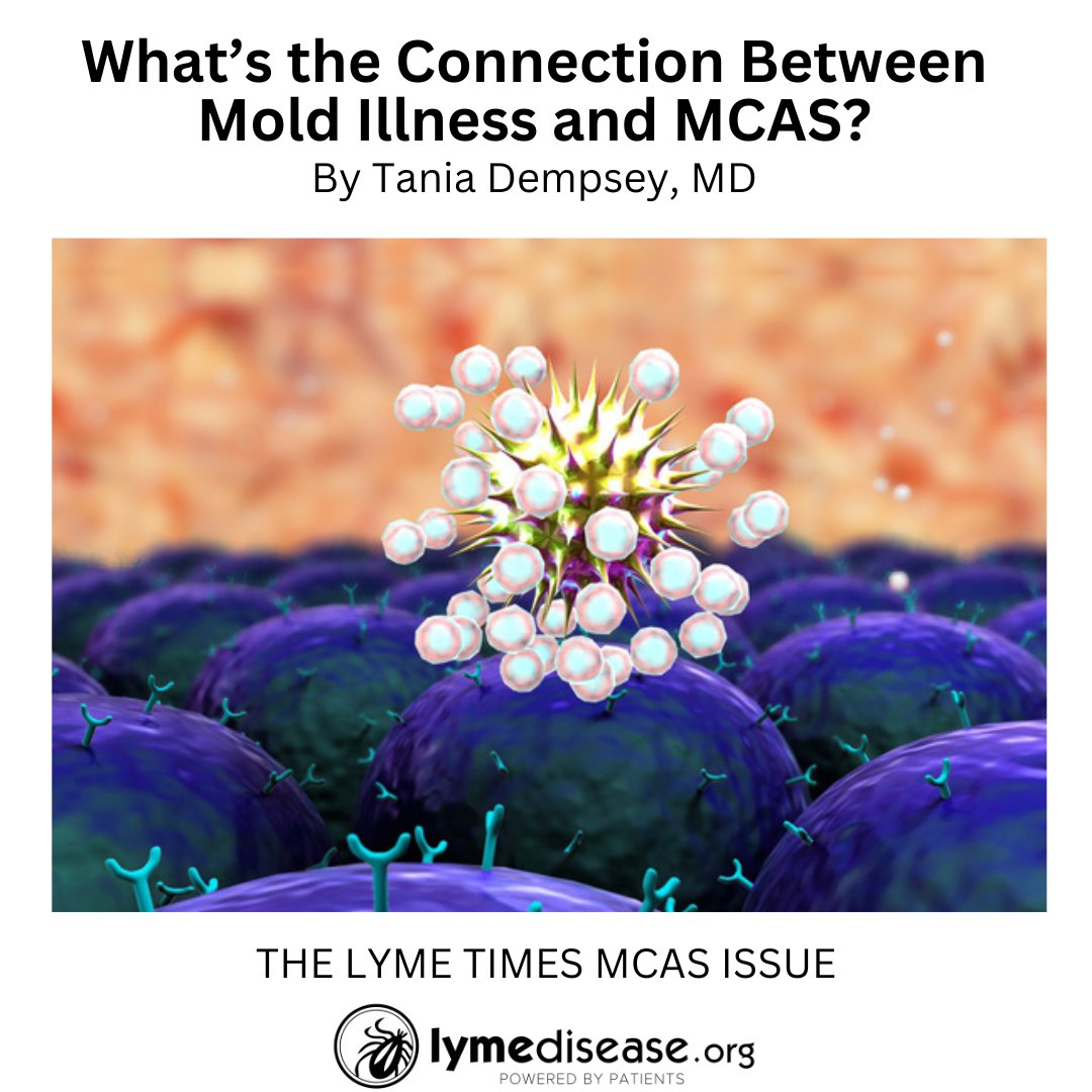 What’s the Connection Between Mold Illness and MCAS? Chronic #mold exposure can lead to ongoing inflammation and a faulty immune response. #MCAS READ MORE: lymedisease.org/members/lyme-t… by @DrTaniaDempsey