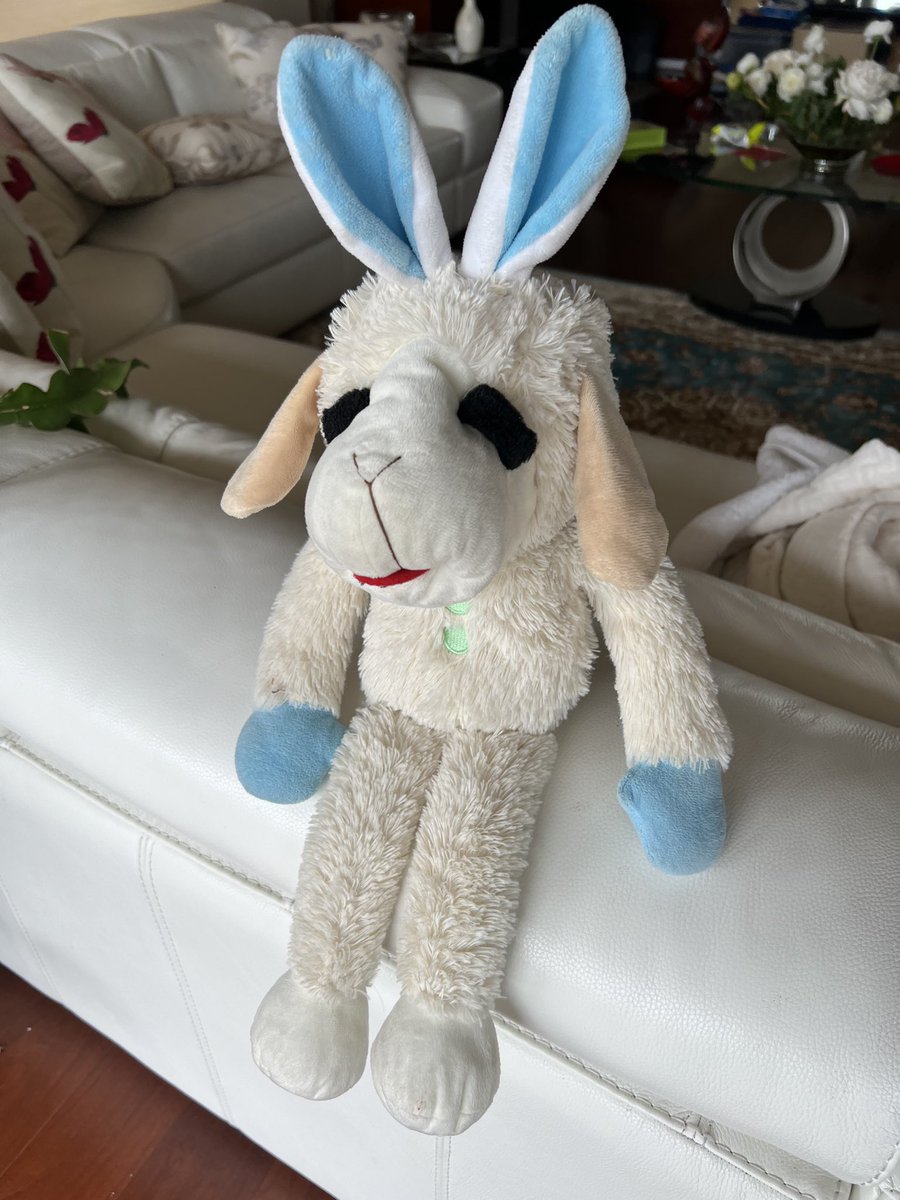 Hey, if your child lost this lamb stuffy with blue rabbit ears at a store in Reagan National Airport yesterday, DM me. Please boost.
