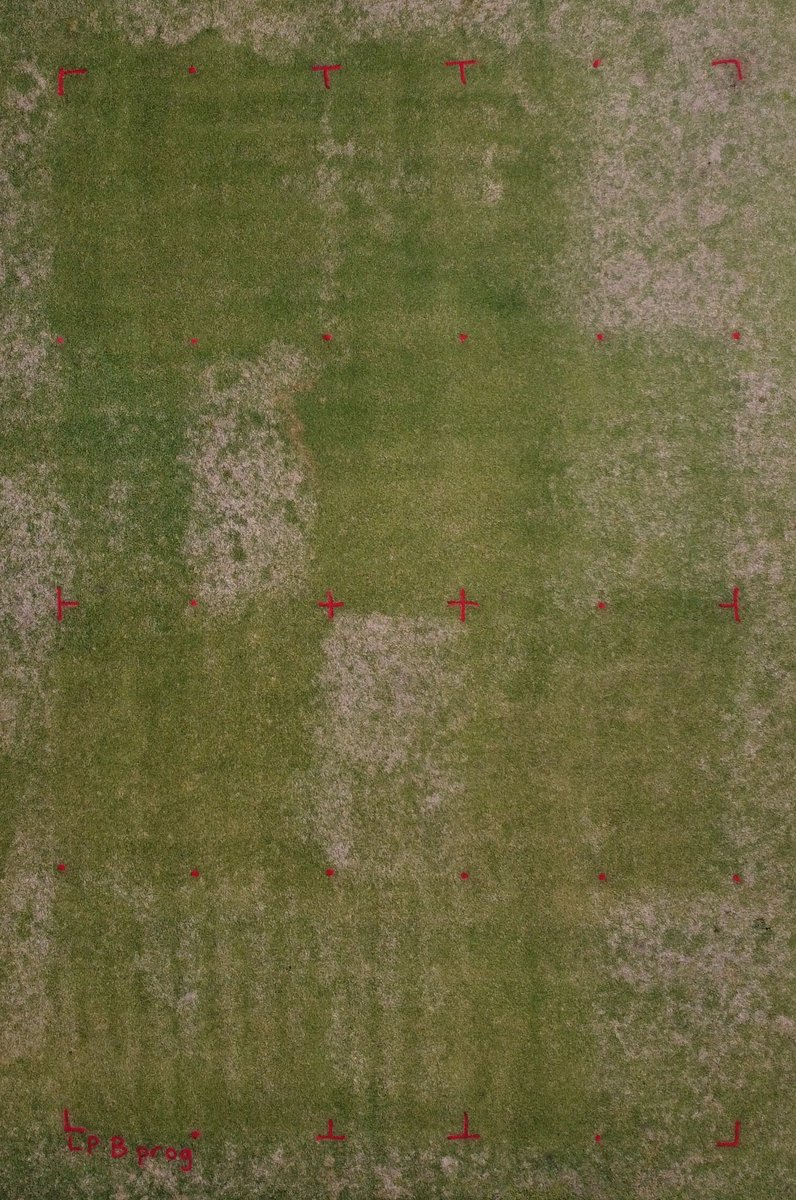 KernsJim's tweet image. Excellent large patch control with two fall applications of Pillar SC (1 floz), Pillar (1 floz)/Xzemplar (0.26 floz in spring), Xz (0.26 floz + Maxtima (0.56 floz), and Ascernity (1 floz). Applications made on 9/29/23 and 10/25/23. All treatments performed well! More comments...