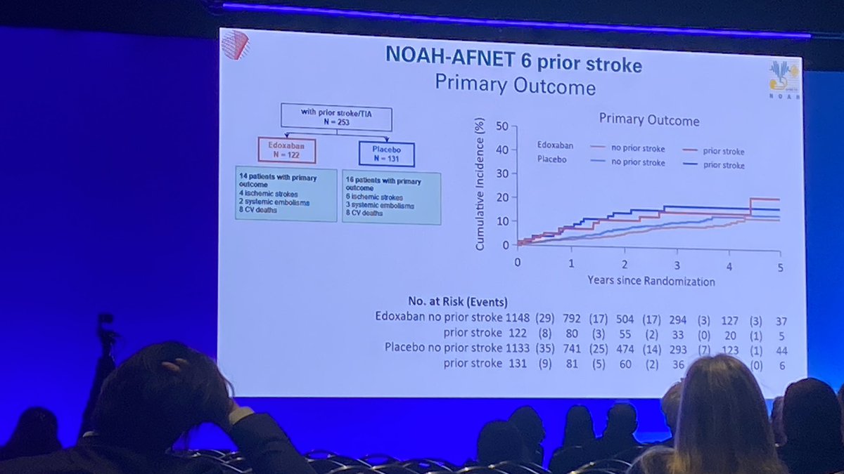 No difference in outcomes according to treatment group and prior stroke/no prior stroke status Also no difference in stroke severity Signal for more bleeding #HRS2024