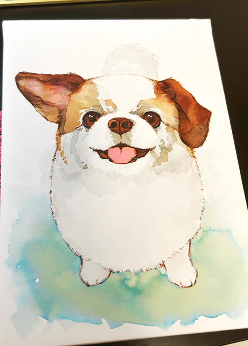 機会があり、人んちのワンちやんを描かせていただいた happy 