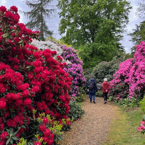 Now is a great time to join Walk & Talk, our activity group for #autistic adults in #Berkshire. Last week they visited Langley Park, near Slough, pictured. Next Tuesday, May 28, they will be walking on the Green Way between #Maidenhead and Cookham Moor bit.ly/3LtCmry