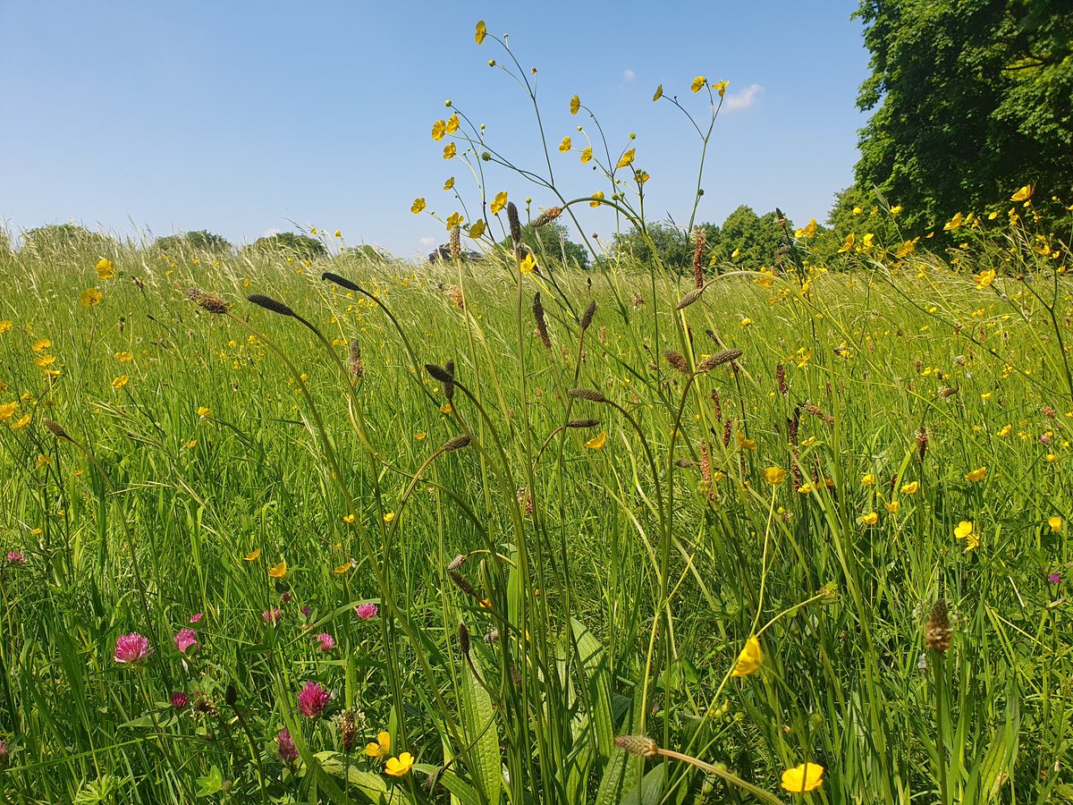 Sunny Sunday #StetWalk