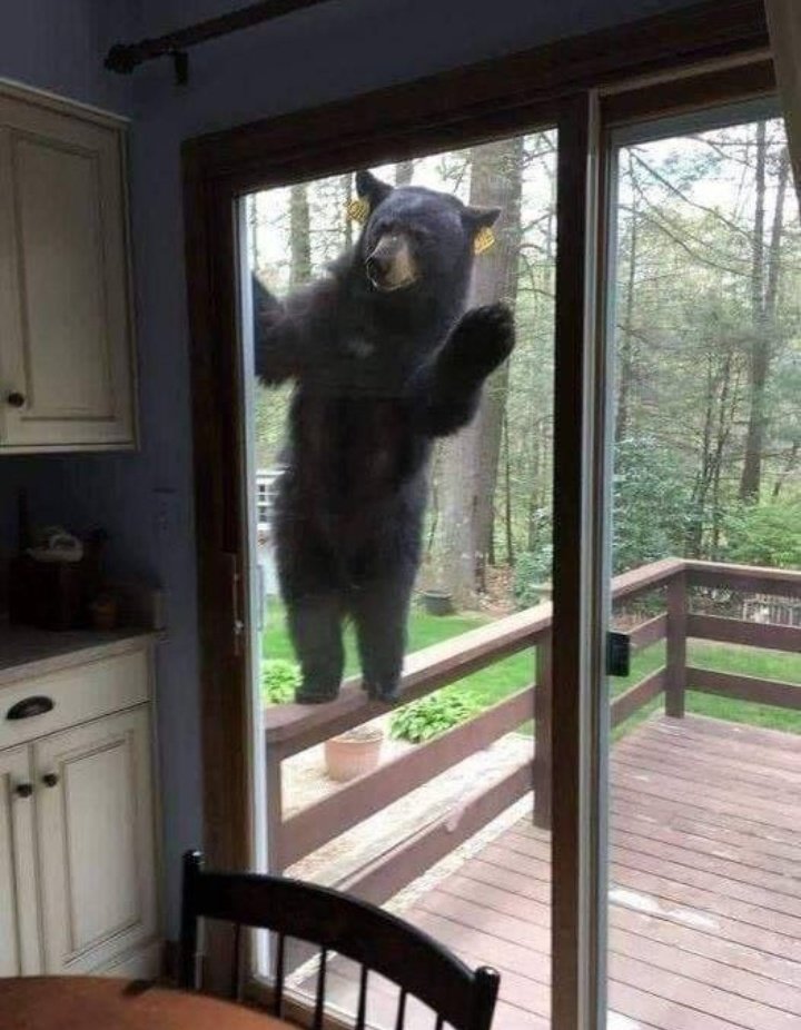 <<درو باز کنید یه آخوند تو جنگله>>