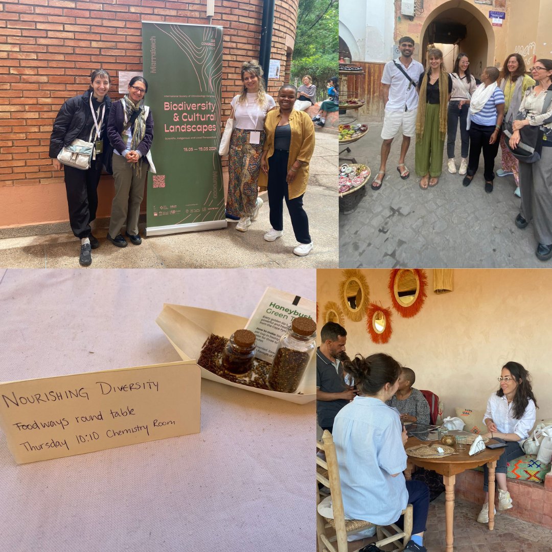 A few of our postgrads and postdocs are in Morocco attending the 18th congress of the International Society of Ethnobiology. They also hosted a session on 'Nourishing Diversity: Exploring the Interplay of Local Foodways, Biodiversity, and Cultural Landscapes in the Global South'.