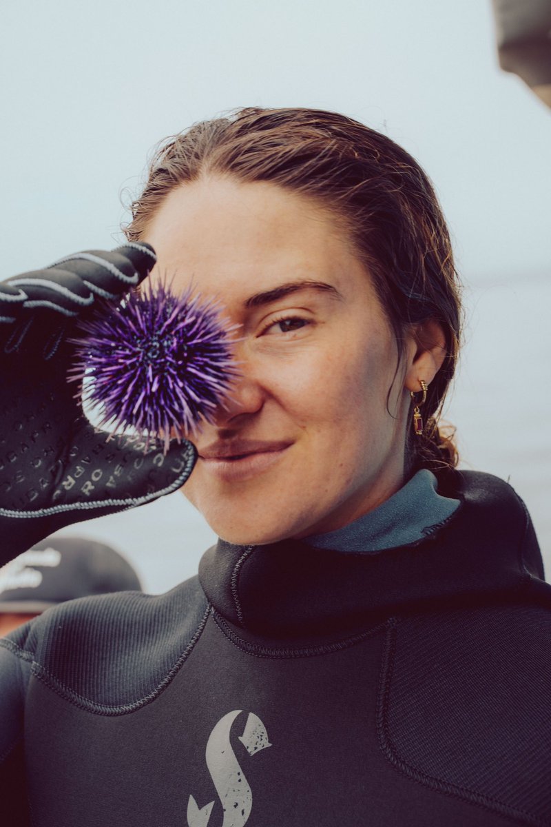 Sea Stephanie Fish tweet media