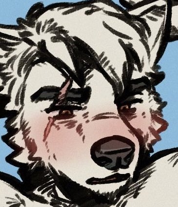 One way to tell Xever and Louis from each other is their eye color (Xev’s blue, Louis’s brown) and the positioning of their scars. 

Xever has one short on his right brow, and a longer one across the top of his snout. Louis has an extra long one over his right eye, through brow.