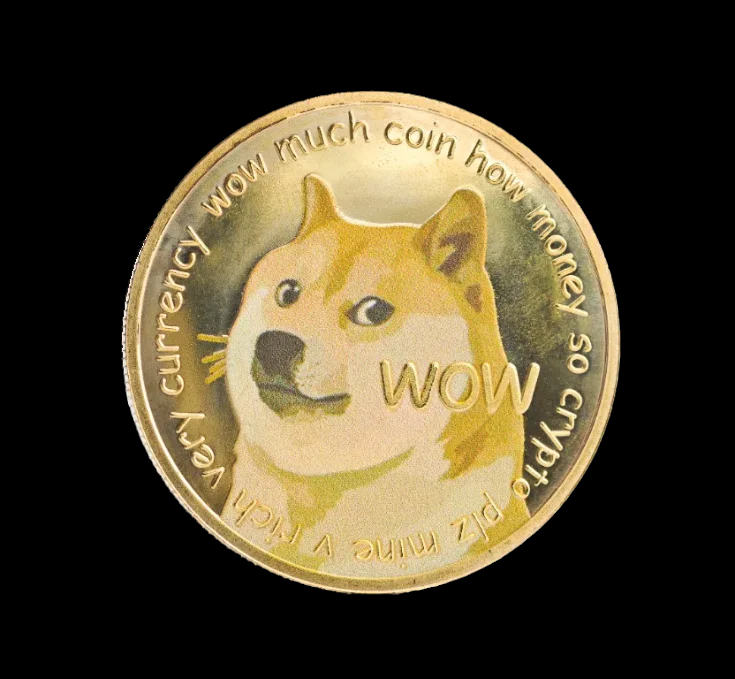 no highs no lows only doge